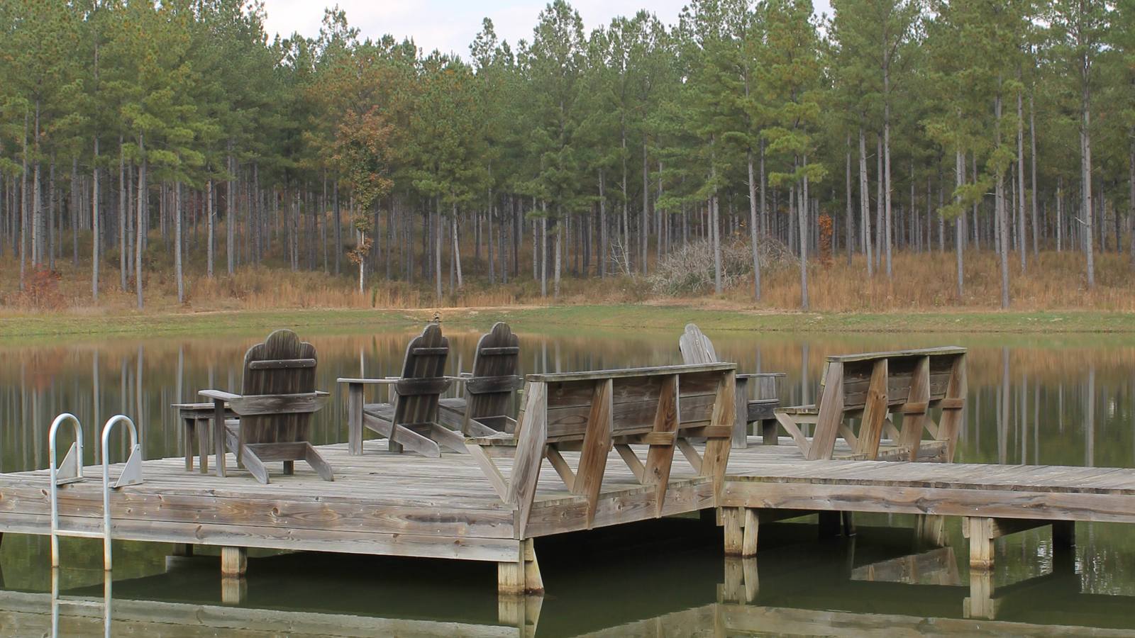 A wooden dock reaching out into a still lake ringed by pine