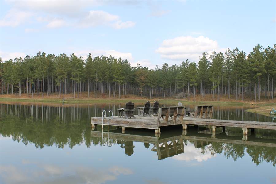 The lake and its dock ringed by planted pine