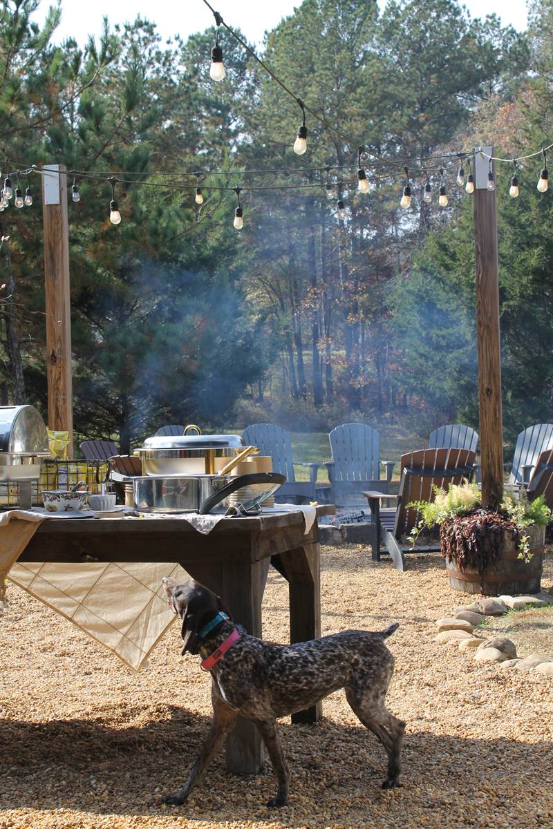 Guests eating together under the pavilion after a shoot