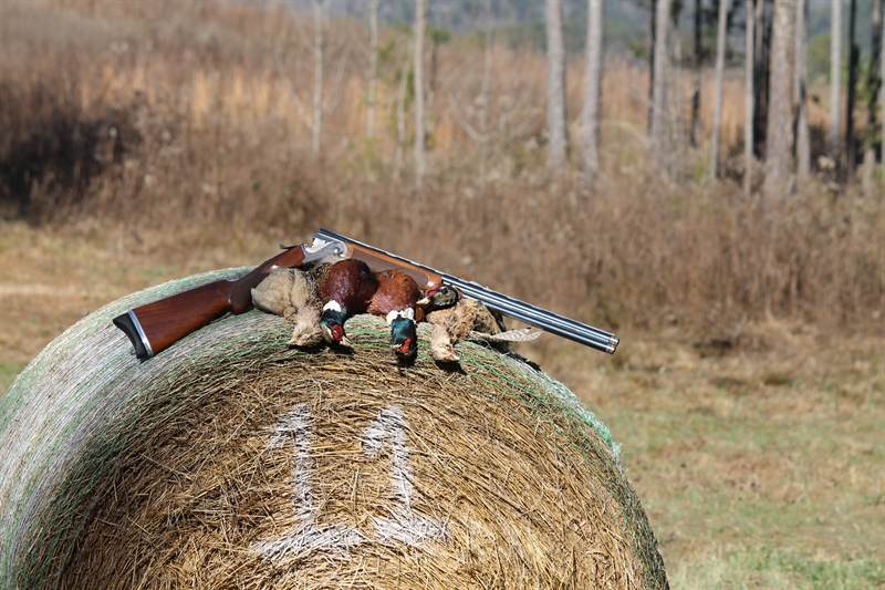 Two shooters firing at high pheasants from a peg at a DanMar tower shoot